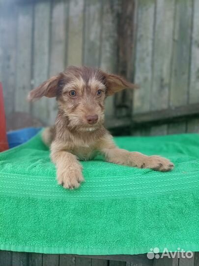 Малышка 3 месяца