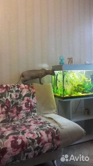 Аквариум с тумбой 140 л