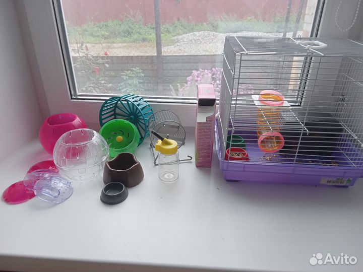 Хомяк с доп вещами