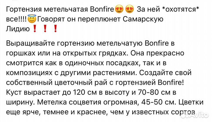 Гортензия Бонфаер