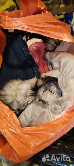 Огромный пакет вещей и обувь на девочку