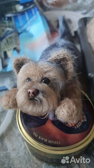 Вязаная собака