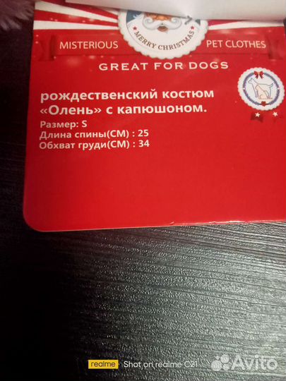 Костюмчик для маленькой собачки