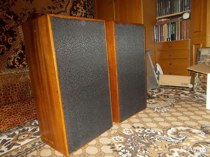 Акустика высшего класса Электроника Б1-01