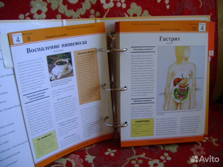 Домашняя медицинская энциклопедия