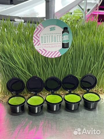 Витграсс - сок из ростков пшеницы