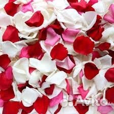 Лепестки роз для свадьбы или фотосесии