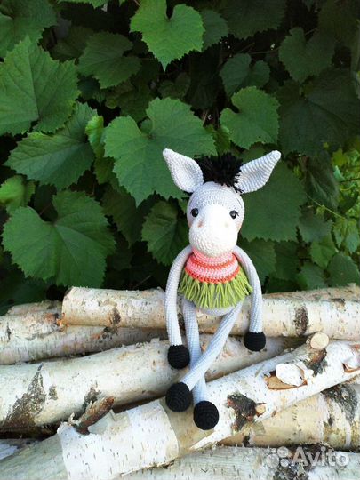 Ослик Карлос