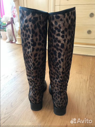 Сапоги Casadei