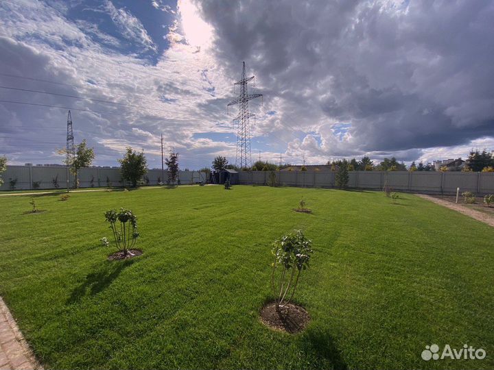 Рулонный газон напрямую с поля