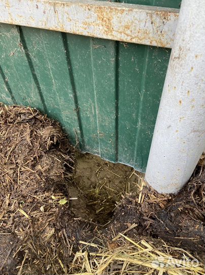 Навоз перегной