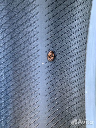 Continental ContiPremiumContact 5 205/55 R16 91W