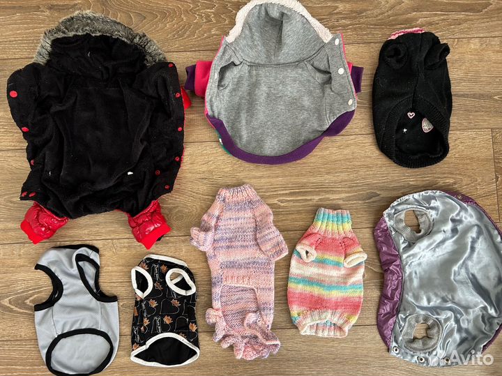 Одежда для маленьких собак