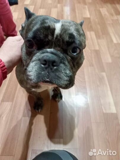 Приглашаем на вязку