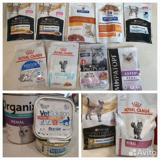 Корм для кошек с почечной недостаточностью renal