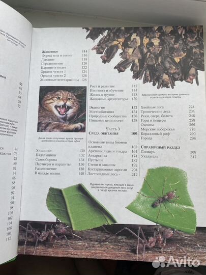 Энциклопедия живой природы