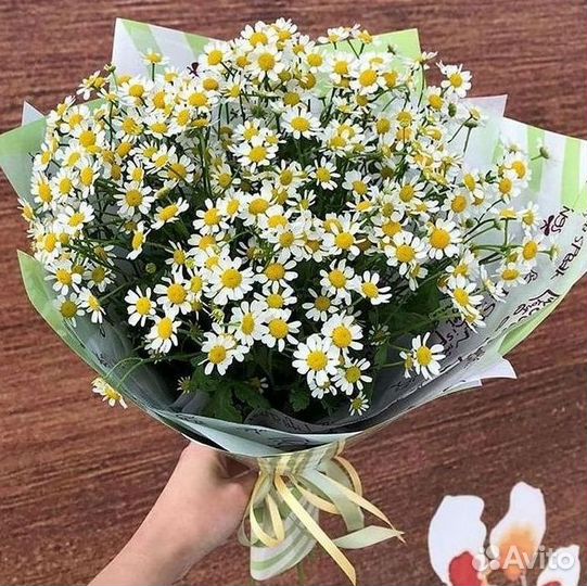 Ромашки Пионы Розы Доставка