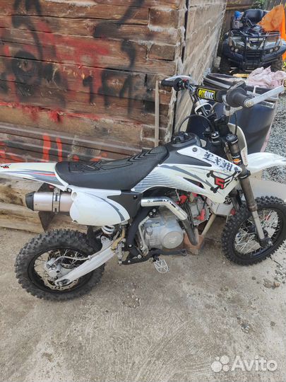 Pitster pro 125