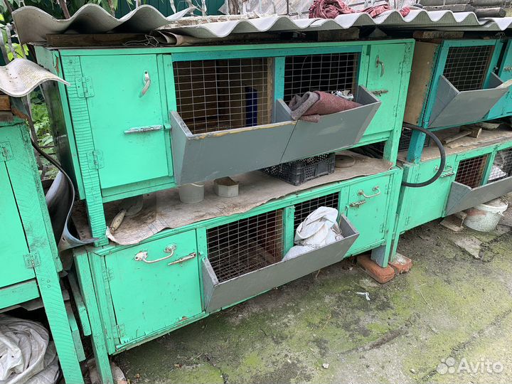 Клетка для кролика