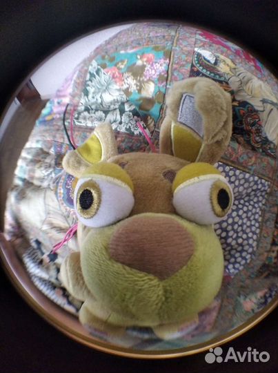 Заяц снюсокид соскахват