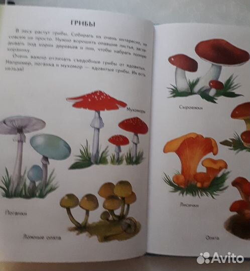 Большая энциклопедия для самых маленьких