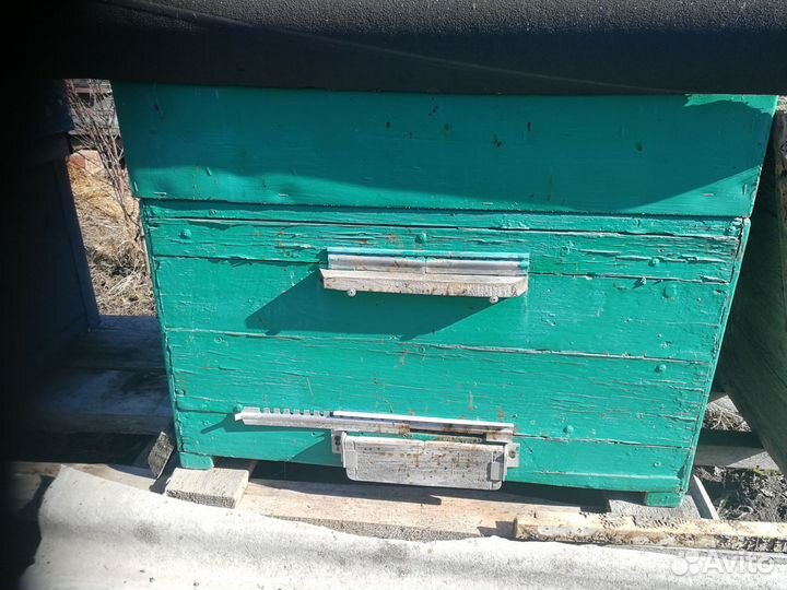 Улей, пчелы