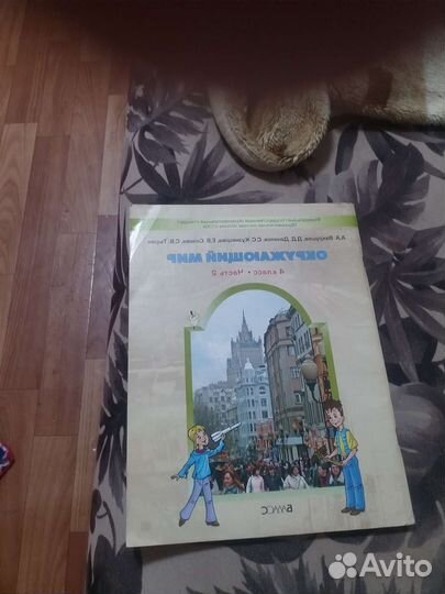 Школьная книга по окружающему миру 4класса 2часть