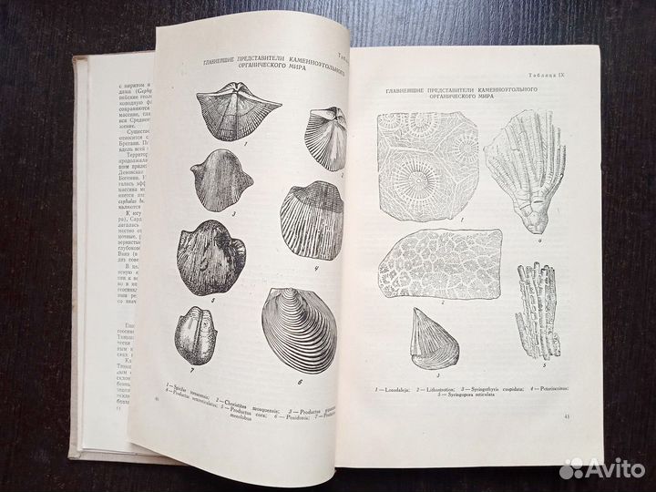 Страхов Н.М. 