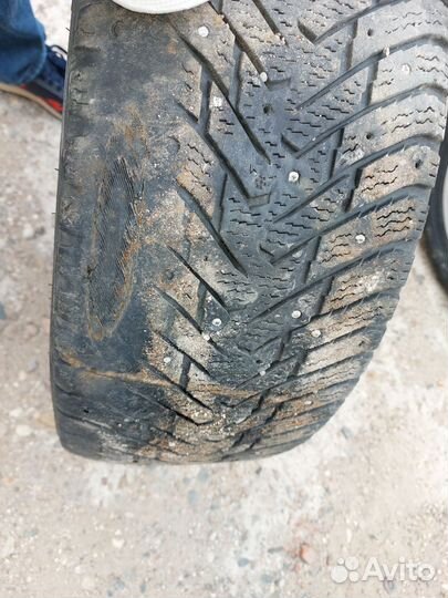 Nokian Tyres Hakkapeliitta 8 225/45 R17