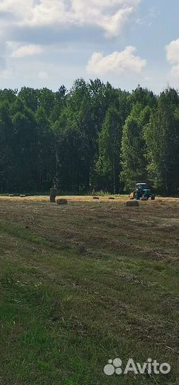 Сено в рулонах