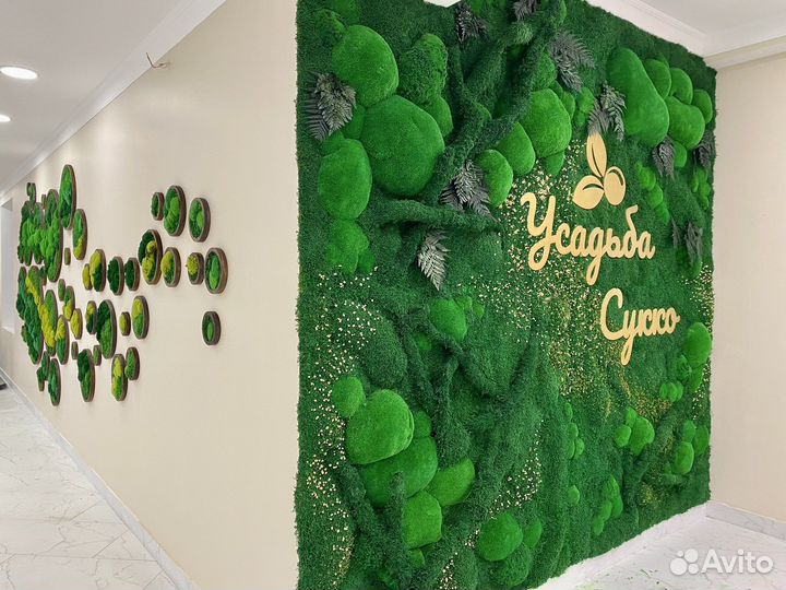 Мох стабилизированный. Озеленение. Декор