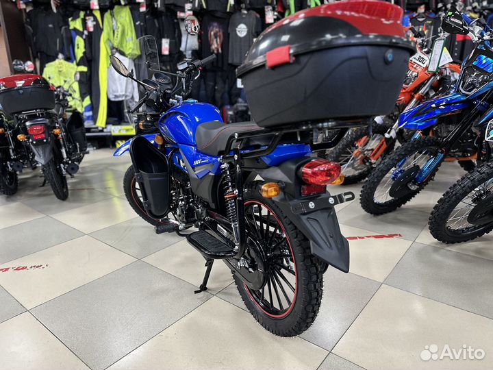 FX moto 50 (125) 2023
