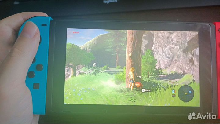 The Legend of Zelda: Breath of the Wild