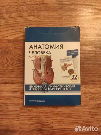 Карточки для изучения анатомии