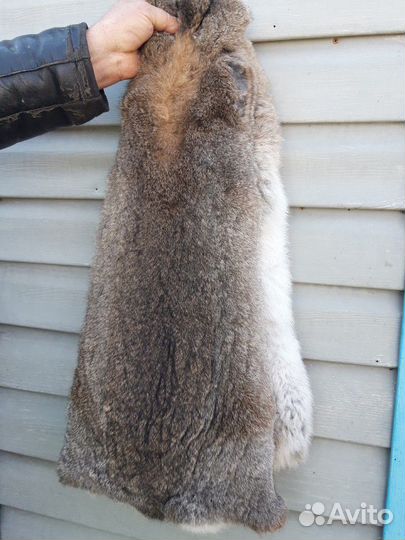 Шкурка кролика