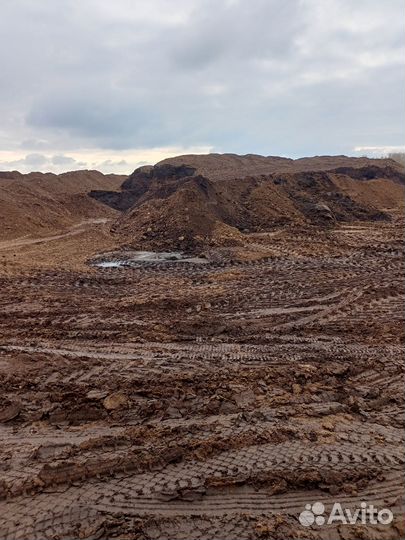 Навоз куриный (птичий) жидкий