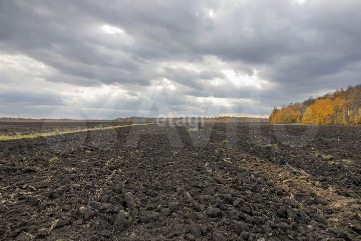 Участок 9,8 сот. (СНТ, ДНП)