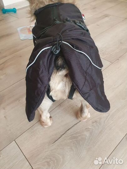 Куртка комбинезон для собаки