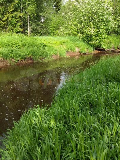 Участок 4,67 га (СНТ, ДНП)