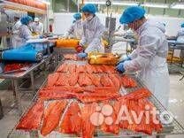 Разнорабочий Вахта Орловская область