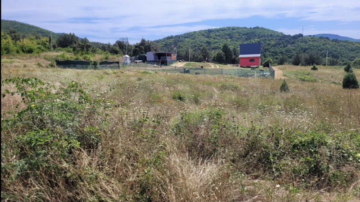 Участок 7,6 сот. (СНТ, ДНП)