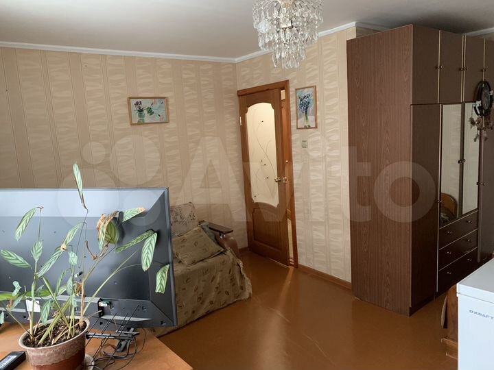 1-к. квартира, 33,3 м², 2/5 эт.