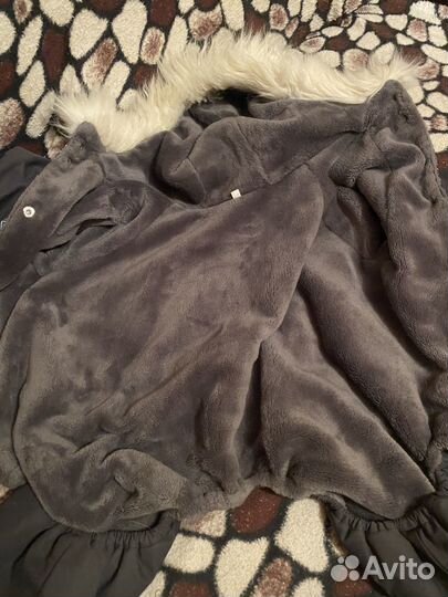 Одежда для средних собак