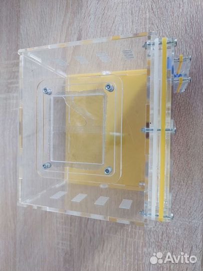 Муравьиная ферма