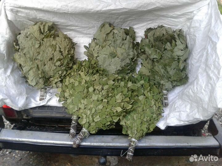 Банные веники