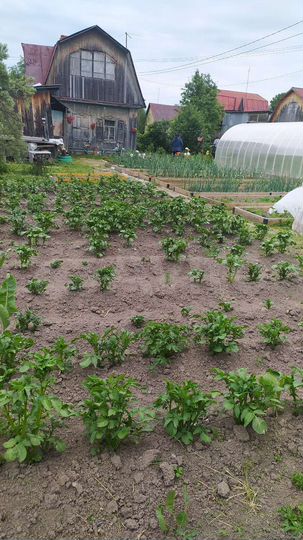 Дом 60 м² на участке 6 сот.