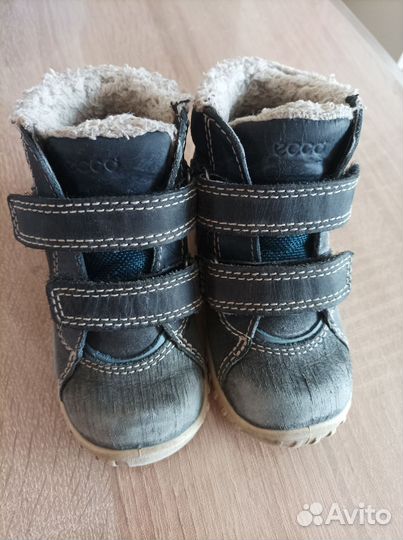 Ботинки демисезонные ecco 22