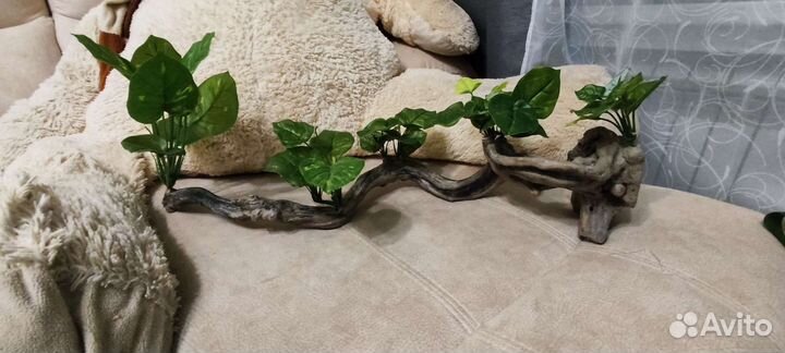 Коряга в аквариум