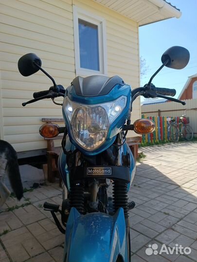 Motoland Alpha RF11 2023