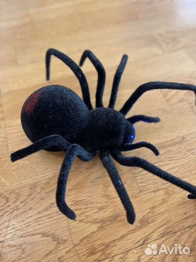 Паук на пульте